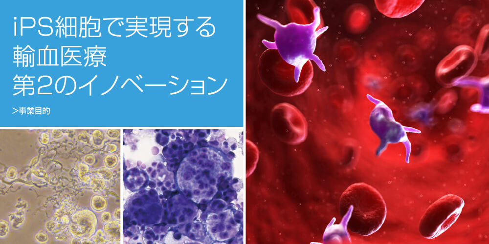 iPS細胞で実現する輸血医療第2のイノベーション